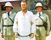 papillon.jpg